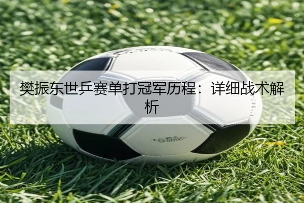 樊振东世乒赛单打冠军历程：详细战术解析